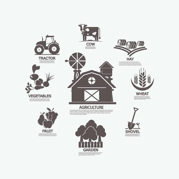 Ikoner Jordbruk Vektor Illustration — Stockfoto