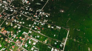 yeşil dağların şehirde