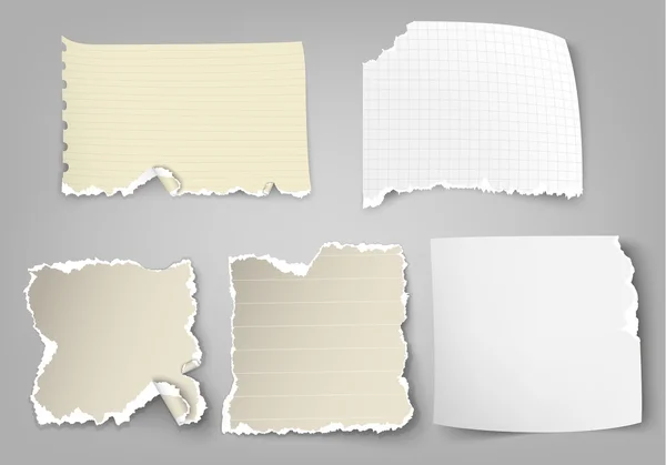 Pieces of ripped papers — Stock Vector