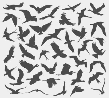 desen ile uçan kuş silhouettes