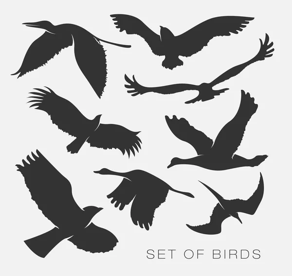 Desen ile uçan kuş silhouettes — Stok Vektör