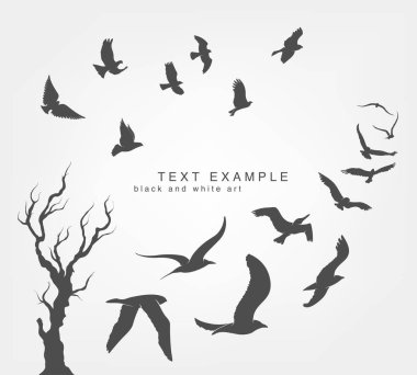 uçan kuşların kama