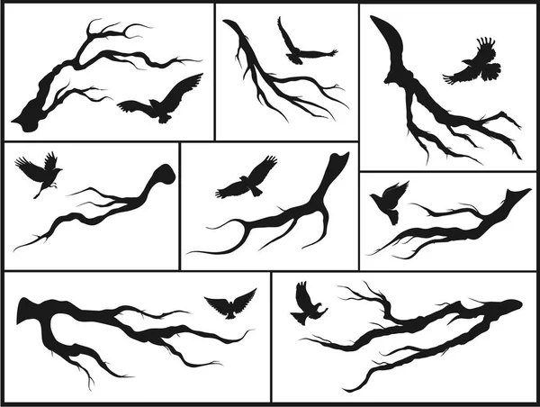 Aves en ramas de árboles — Archivo Imágenes Vectoriales