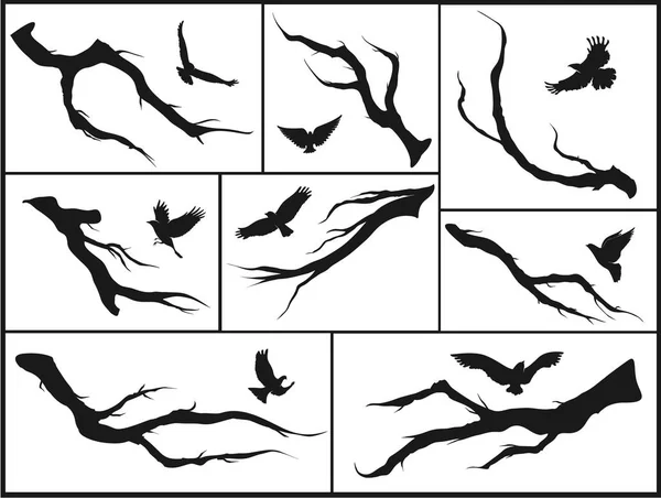Птицы на ветвях деревьев — стоковый вектор