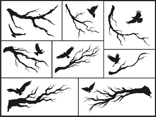 Aves em galhos de árvore —  Vetores de Stock