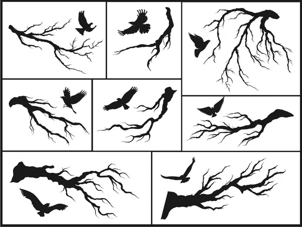 Oiseaux sur les branches des arbres — Image vectorielle