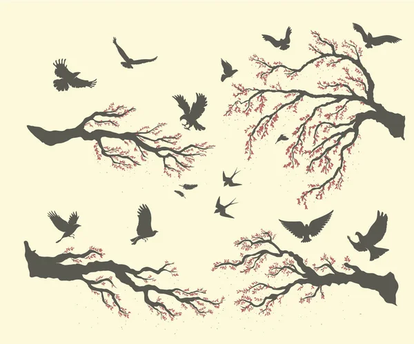 Oiseaux sur les branches des arbres — Image vectorielle