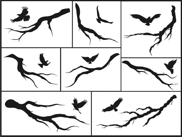 Vogels op takken — Stockvector