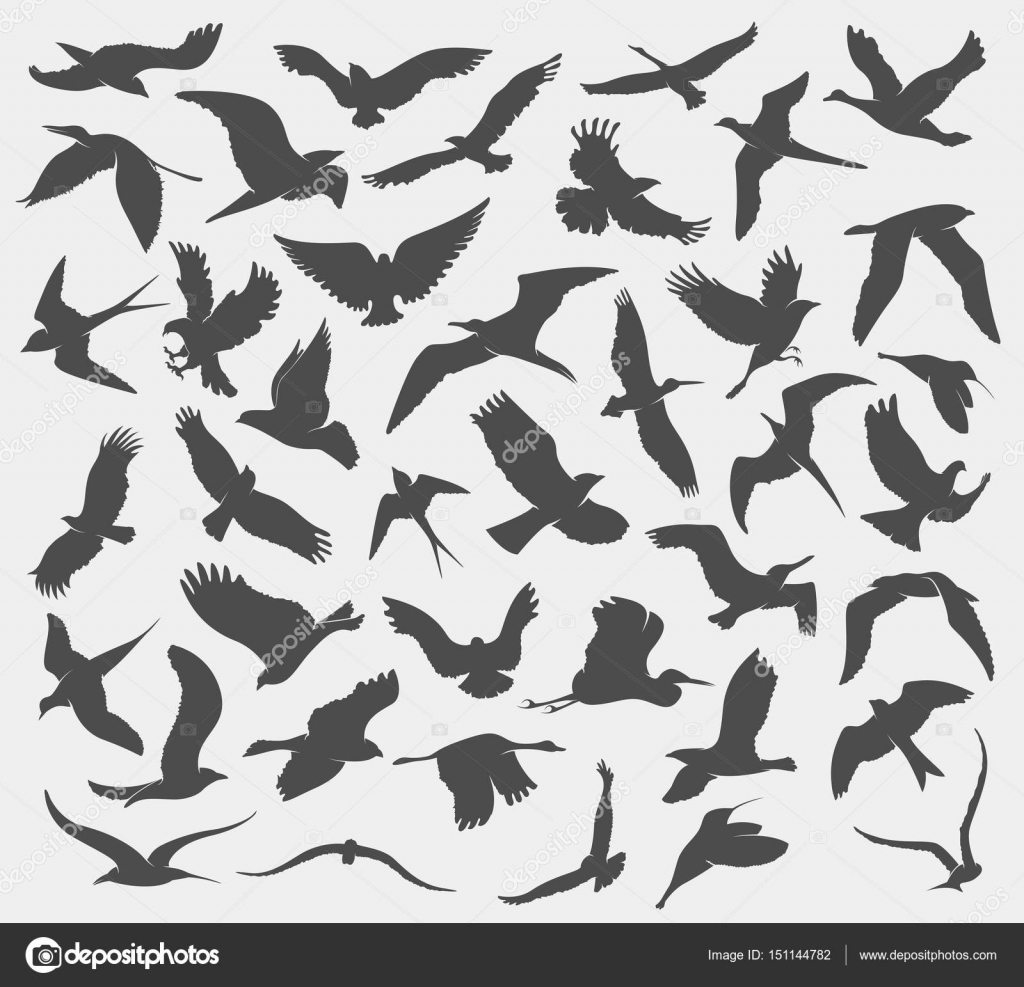 飛ぶ鳥のシルエットとパターン \u2014 ストックベクター