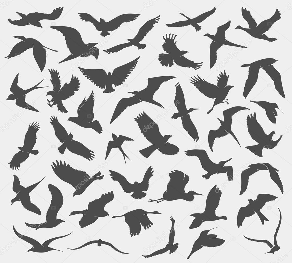 pattern with silhouettes of flying birds