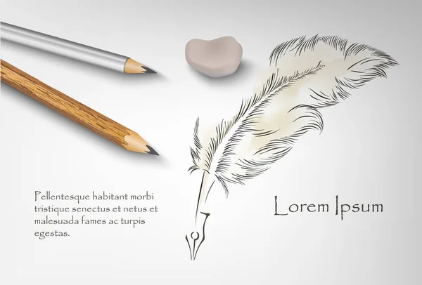 现实羽毛用两支铅笔和橡皮擦 — 图库矢量图片