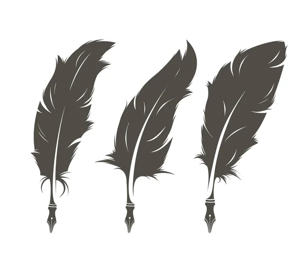 Conjunto Tres Plumas Viejas Aisladas Para Escribir — Vector de stock