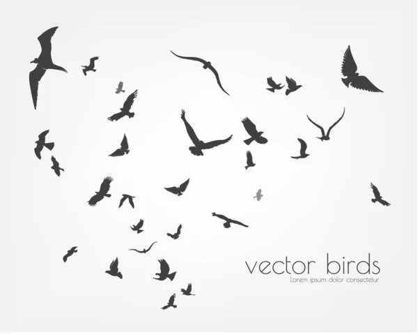 Figura conjunto bandada de aves voladoras en rama de árbol — Vector de stock