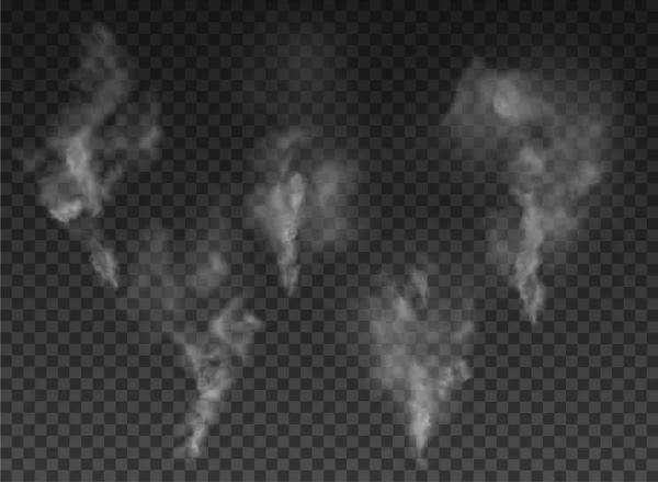 Dimma och rök isolerad på transparent bakgrund — Stock vektor