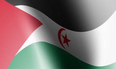 Ülkelerin koleksiyonu bayrakları