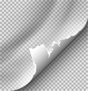 Saydam arka planda yalıtılmış reklam ve tanıtım iletisi için boş kağıda gölgeyle sayfa kıvırma