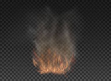 Şeffaf arkaplanda sis ve duman izole edildi