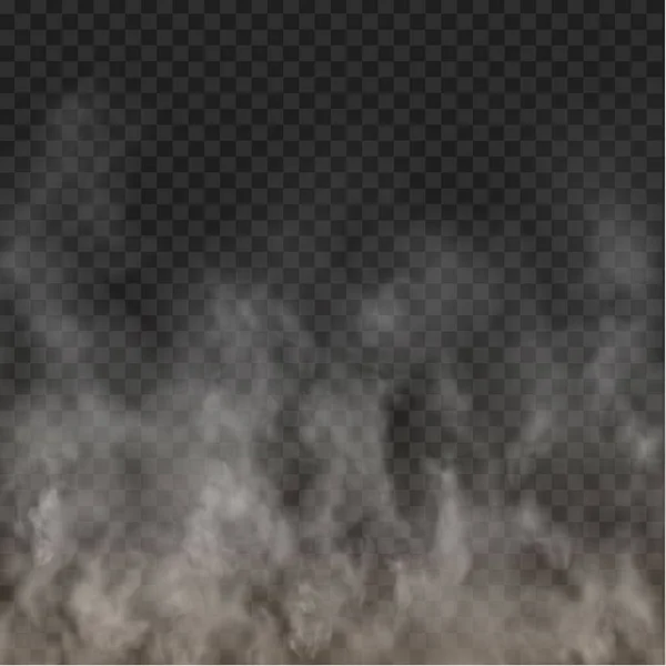 雾和烟雾隔离在透明背景上 — 图库矢量图片