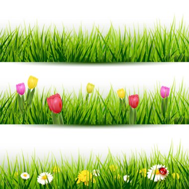 Çim kenarlık kümesi