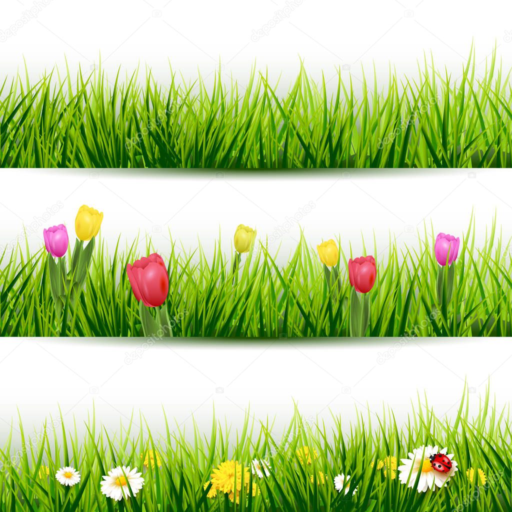 Conjunto de bordes de césped — Vector de stock © kaktus2536 #137783342