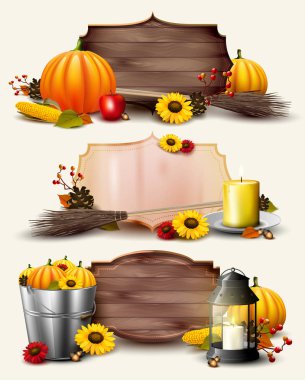 Cadılar Bayramı geleneksel üstbilgileri