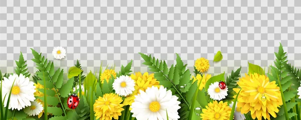 Spring Time Seamless Border Flowers Grass Fern Ladybugs Transparent Background Vector Graphics