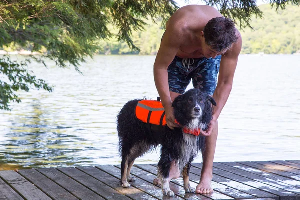 Att sätta en flytväst på hund vid sjön — Stockfoto