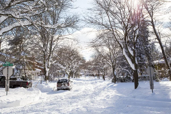 Snow filled tree lined street — Stock Photo, Image