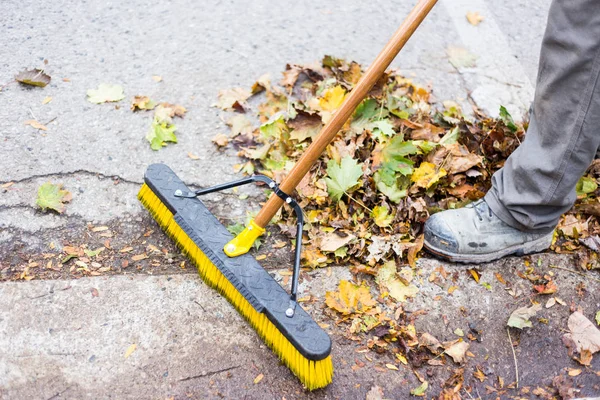 YArd clean up — Stock Photo, Image