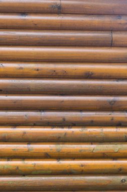 Modern günlük ev duvar arka plan dikey