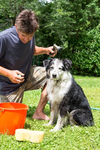 Proprietário Animal Estimação Prepara Para Era Seu Cão Lamacento Dia — Fotografia de Stock