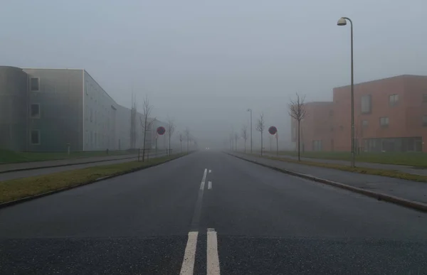 Una giornata nebbiosa in Danimarca, Viborg dicembre 2016 — Foto Stock