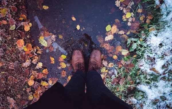 Tra autunno e inverno — Foto Stock