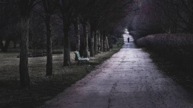 Yalnız bir adam tarafından bir parkta boş bir tezgah geçen.