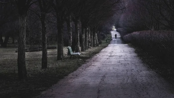 Un uomo solo che passa davanti a una panchina vuota in un parco . — Foto Stock