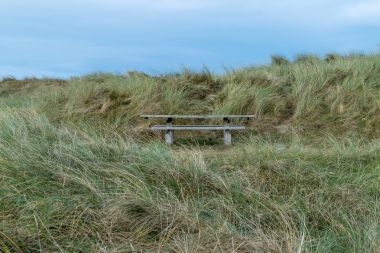 Danimarkalı kıyı şeridi, 