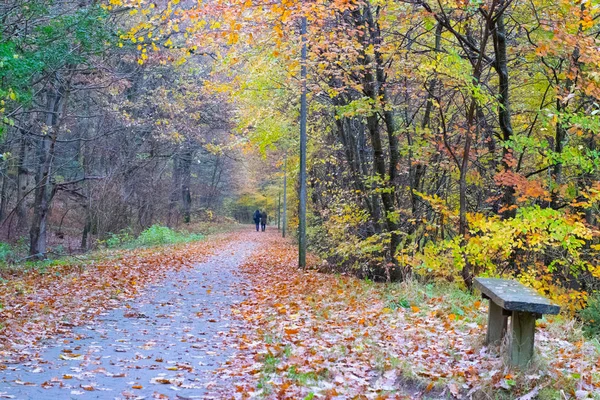 Unbekannte laufen durch Wald in Dänemark — Stockfoto