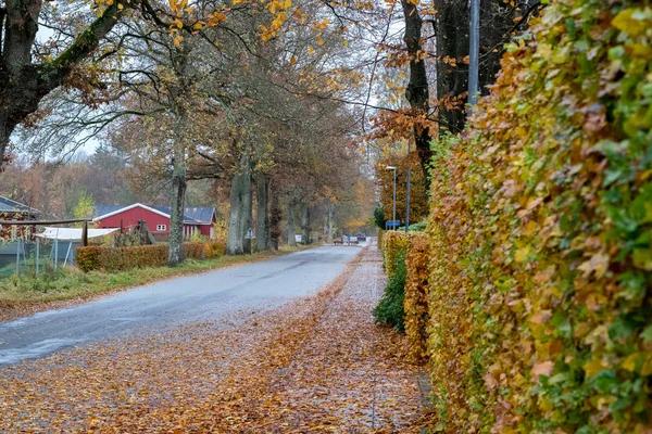 비보르, 덴마크에서 11 월에도 덴마크로을 — 스톡 사진