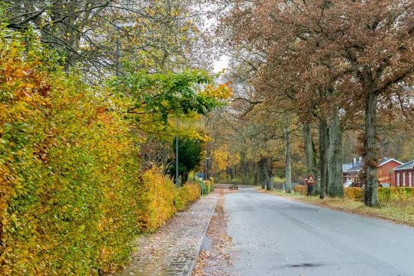 Herbst dänische straße im november in viborg, dänemark — Stockfoto