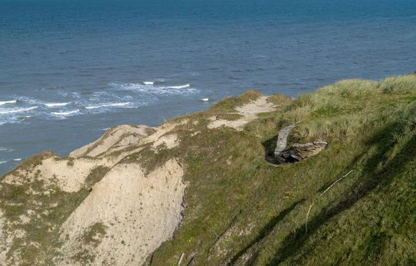 Bulbjerg, the only bird cliff on the Danish mainland situated in northern Jutland, Denmark. — Stock Photo, Image