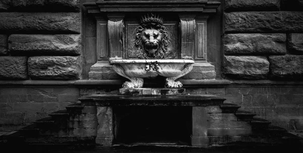 Black and white photo of a Florence lion fountain — Stock Photo, Image