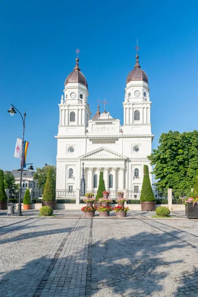 Fővárosi Székesegyház Iasi Románia Legnagyobb Történelmi Ortodox Templom Romániában Egy — Stock Fotó