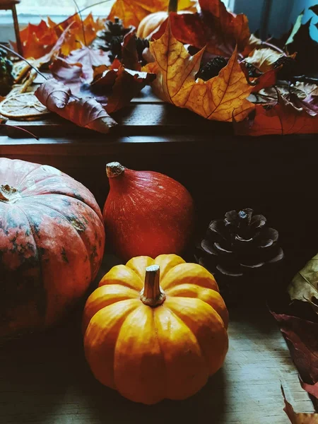 Thanksgiving background : pumpkins, autumn leaves, oranges and cones on wooden background