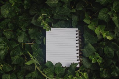 Yeşil yaprakları üstünde defter