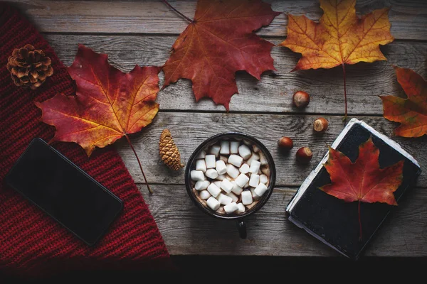 Düz ev yapımı kakao yatıyordu marshmallow, fındık, sonbahar bırak