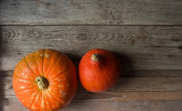 Calabazas naranjas orgánicas en mesa de madera, fondo de calabaza de acción de gracias, cosecha de otoño —  Fotos de Stock