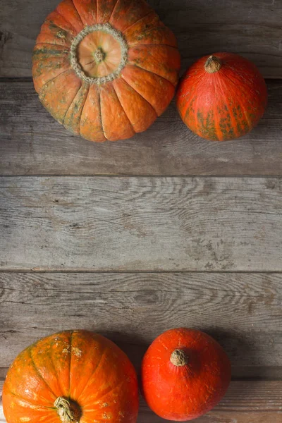 Calabazas naranjas orgánicas en mesa de madera, fondo de calabaza de acción de gracias, cosecha de otoño — Foto de Stock