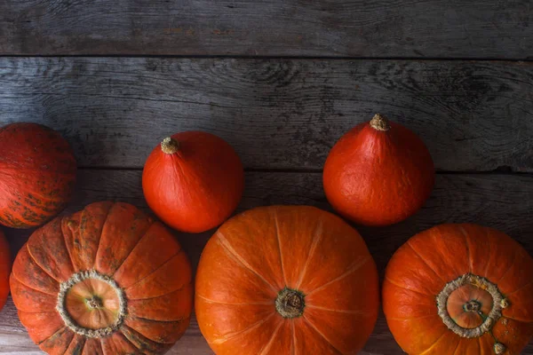 Calabazas naranjas orgánicas en mesa de madera, fondo de calabaza de acción de gracias, cosecha de otoño — Foto de Stock