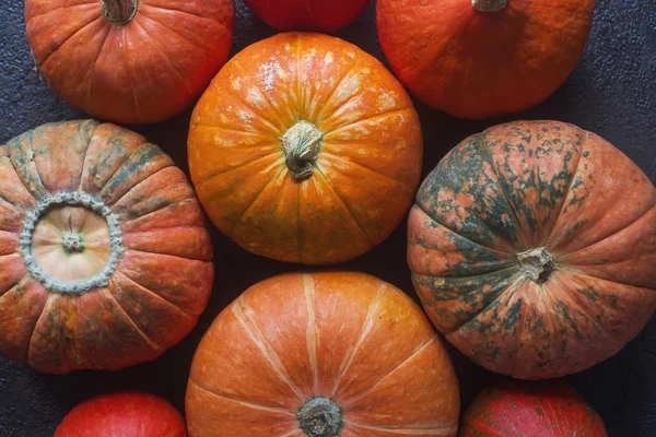 Calabazas naranjas orgánicas en mesa de madera, fondo de calabaza de acción de gracias, cosecha de otoño —  Fotos de Stock