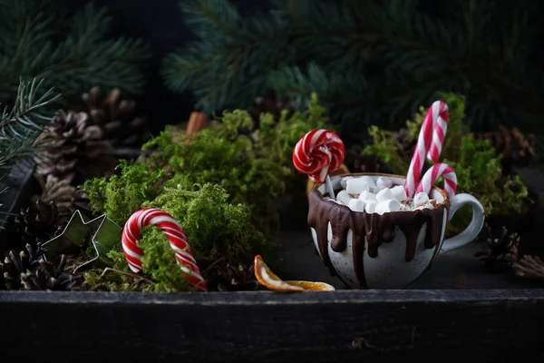 Горячий шоколад или какао с зефиром и леденец сладкие конфеты, рождественское украшение елкой — стоковое фото